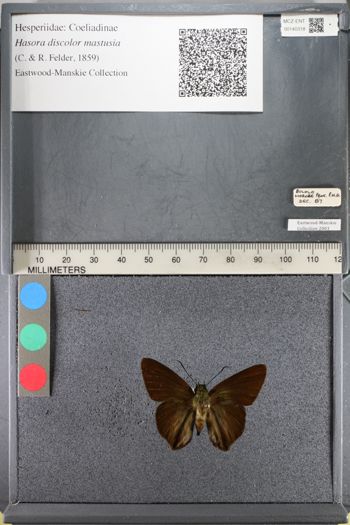 Media type: image;   Entomology 140318